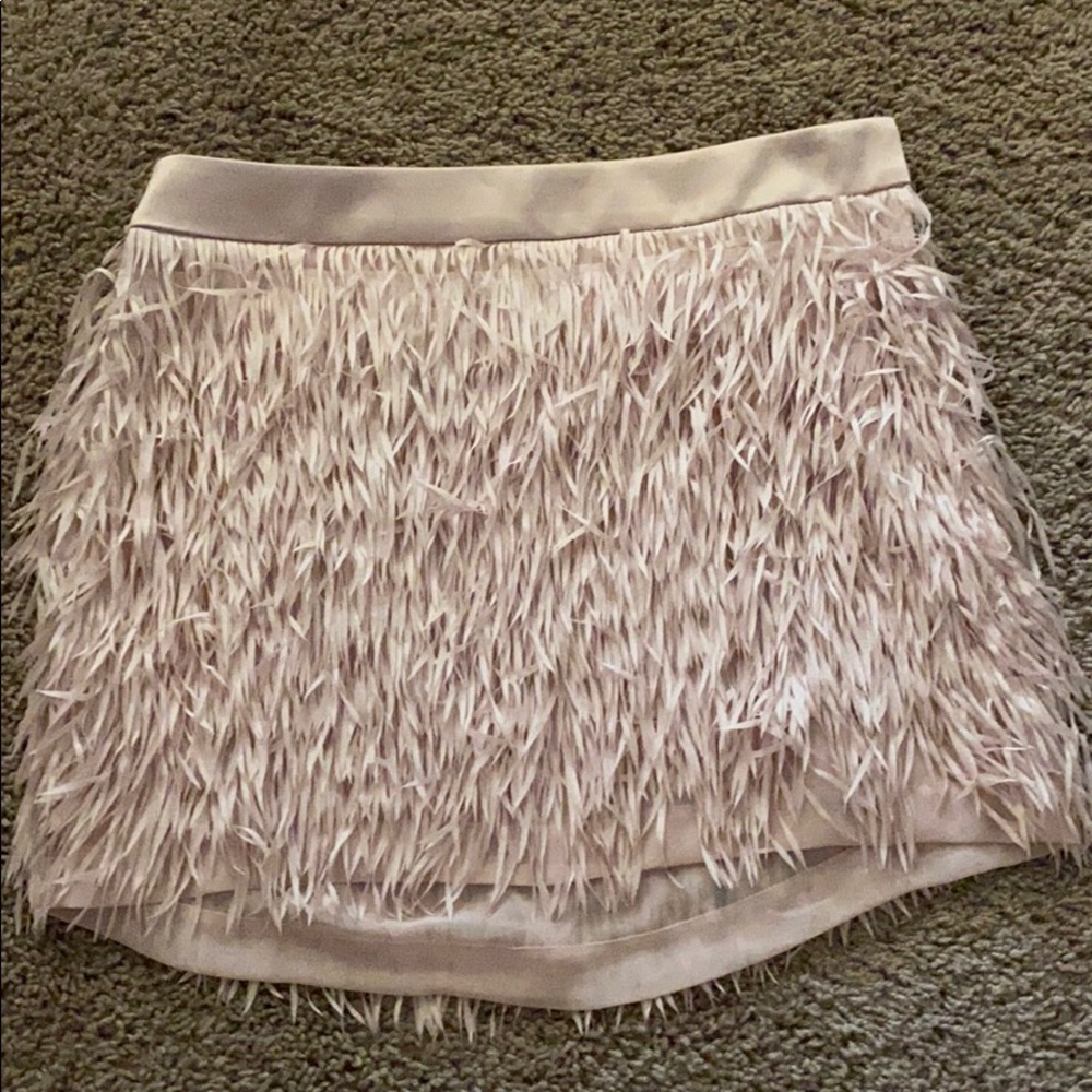 Express skirt